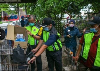 ANGGOTA penguat kuasa JHEAIK memeriksa sebuah rak yang diletakkan minuman dan makanan di tepi sebuah restoran nasi kandar di Jalan Putra, Alor Setar, hari ini. - GAMBAR/SHAHIR NOORDIN