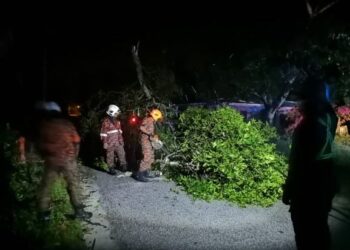 ANGGOTA bomba memotong pokok yang tumbang merintangi jalan akibat ribut di Pantai Remis semalam. - GAMBAR /IHSAN JBPM