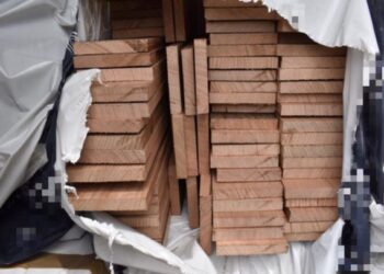 KIRA-KIRA 59.17 meter kubik kayu jenis tasmanian oak timber dirampas Maqis di NBCT, Pulau Pinang Jumaat kerana tidak mematuhi syarat import yang diluluskan.