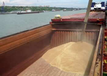 GANDUM diisi ke dalam kapal kargo di pelabuhan antarabangsa Rostov-on-Don untuk dihantar ke Turki.-AFP
